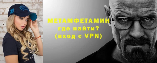 шишки Белокуриха