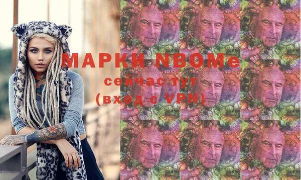 шишки Белокуриха