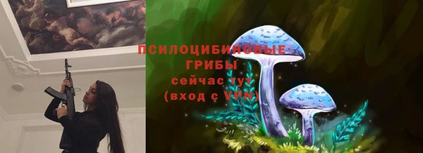 сатива Богородицк