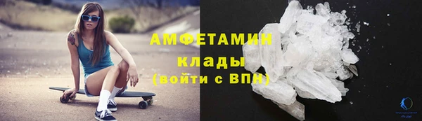 шишки Белокуриха