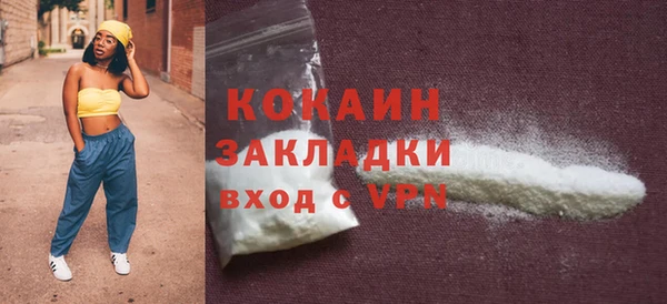 шишки Белокуриха