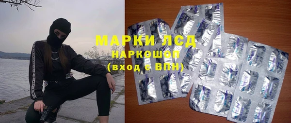 шишки Белокуриха