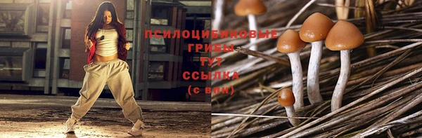 шишки Белокуриха