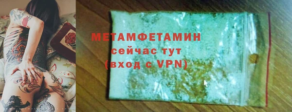 шишки Белокуриха