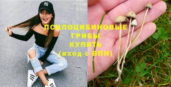 бошки Белоозёрский