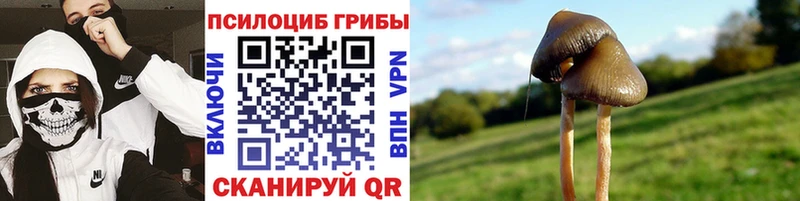 Галлюциногенные грибы прущие грибы  нарко площадка как зайти  Большой Камень  сколько стоит 