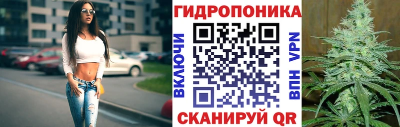 Конопля индика хочу наркоту Большой Камень